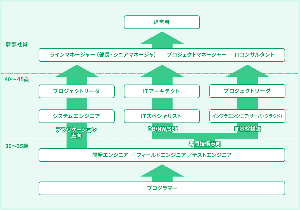 キャリアパス